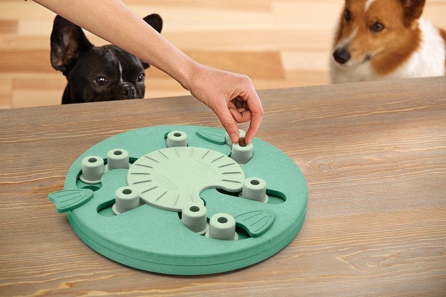 NINA OTTOSSON DOG WORKER COMPOSIET