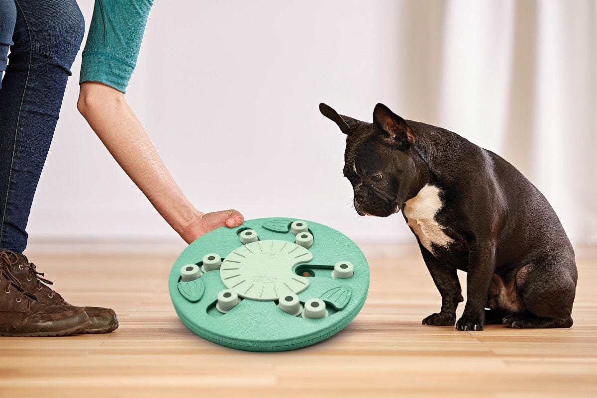 NINA OTTOSSON DOG WORKER COMPOSIET