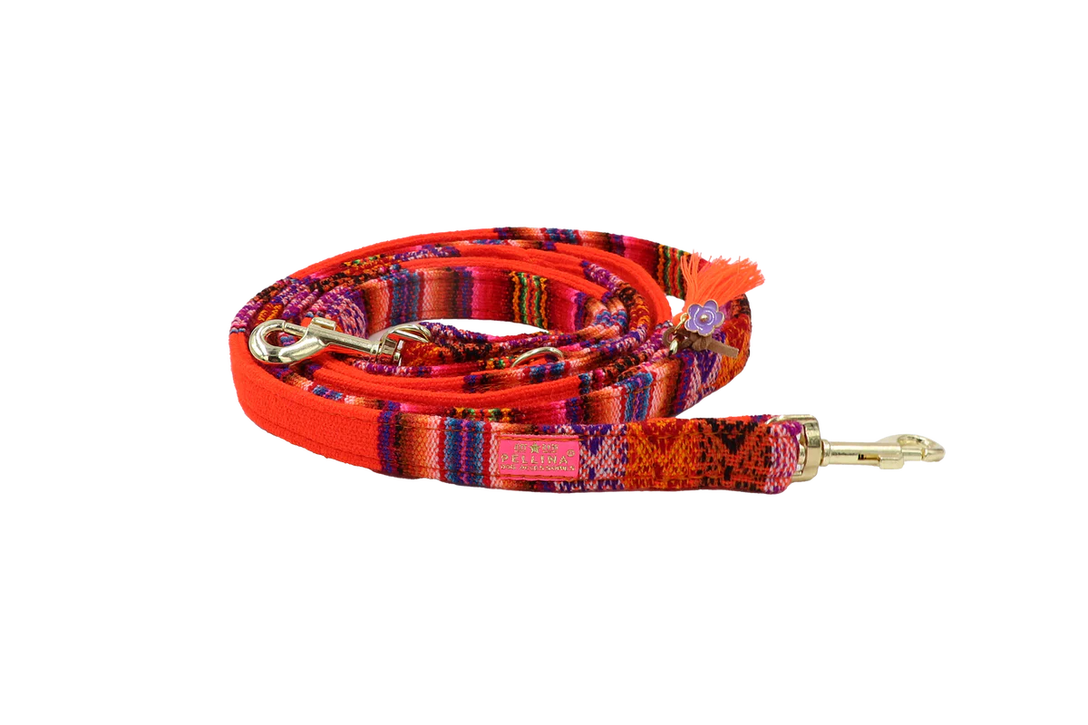 Leiband "LaaBoheme" Orange – Leiband van Pellina | Hondenboetiek