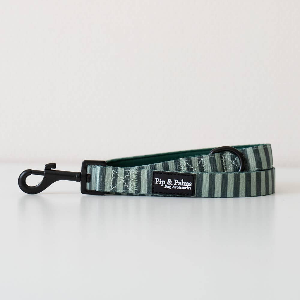 Leiband Stripy Stripes – Leiband van Pip and Palms | Hondenboetiek
