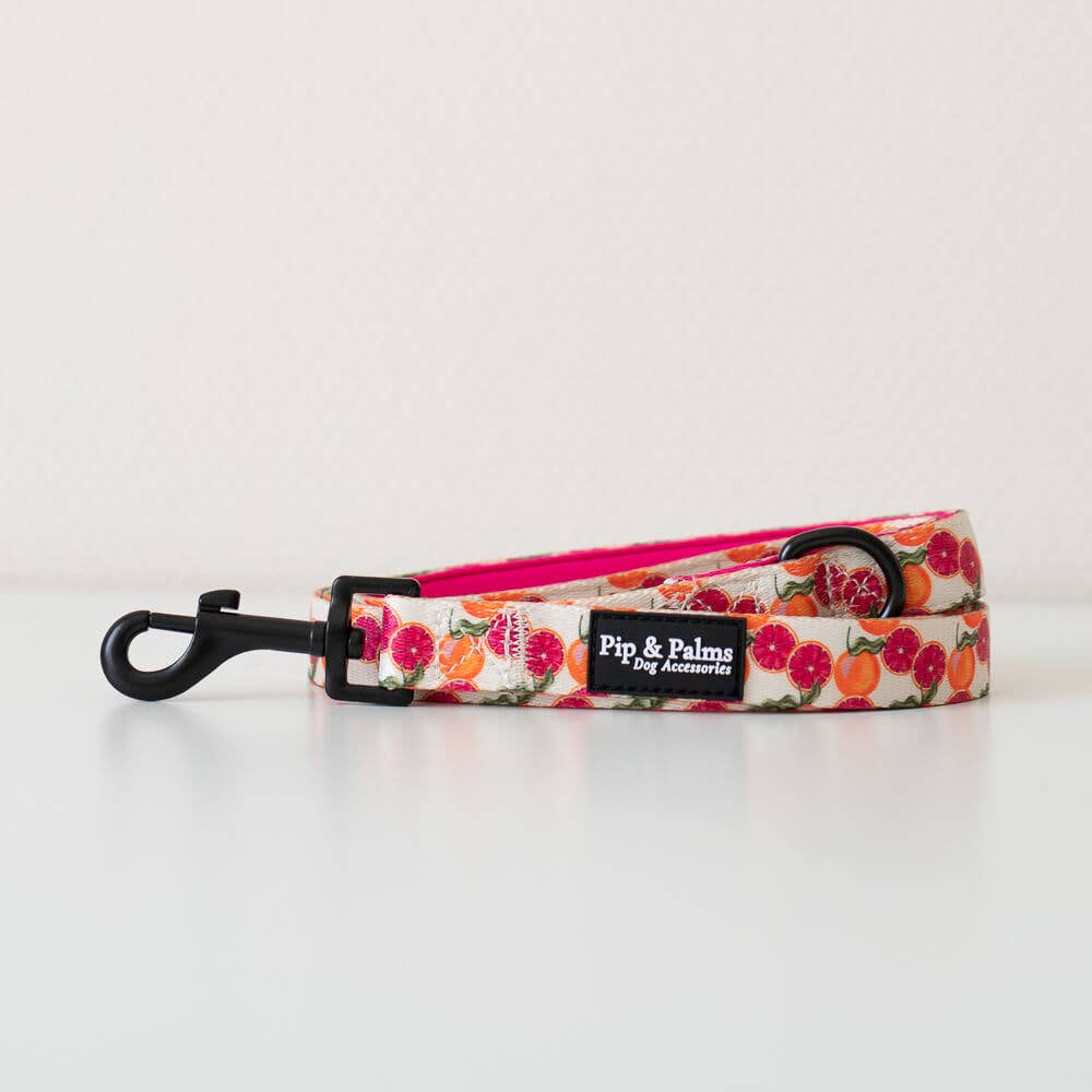 Leiband Tutti Frutti – Leiband van Pip and Palms | Hondenboetiek