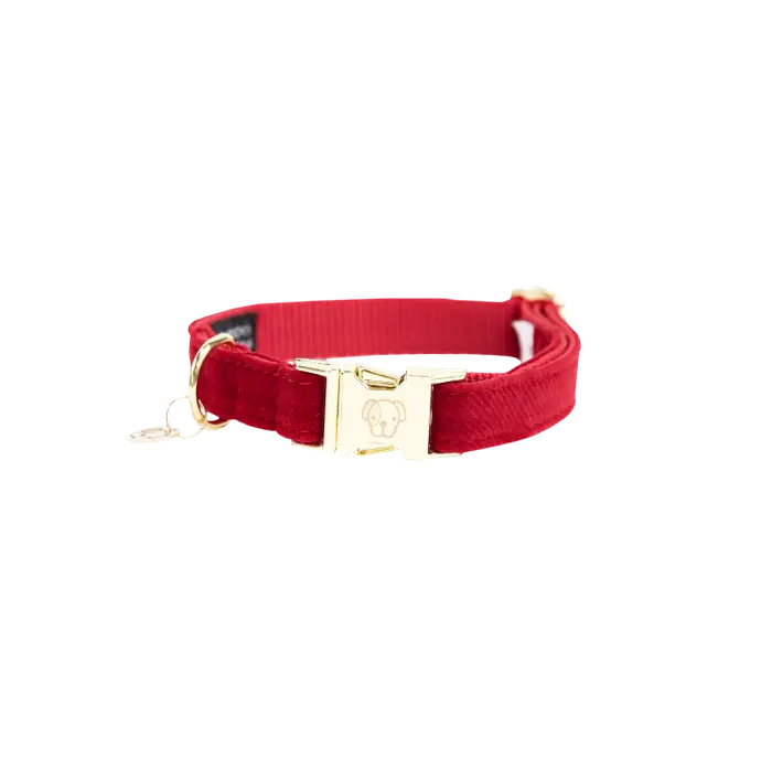 Halsband corduroy rood