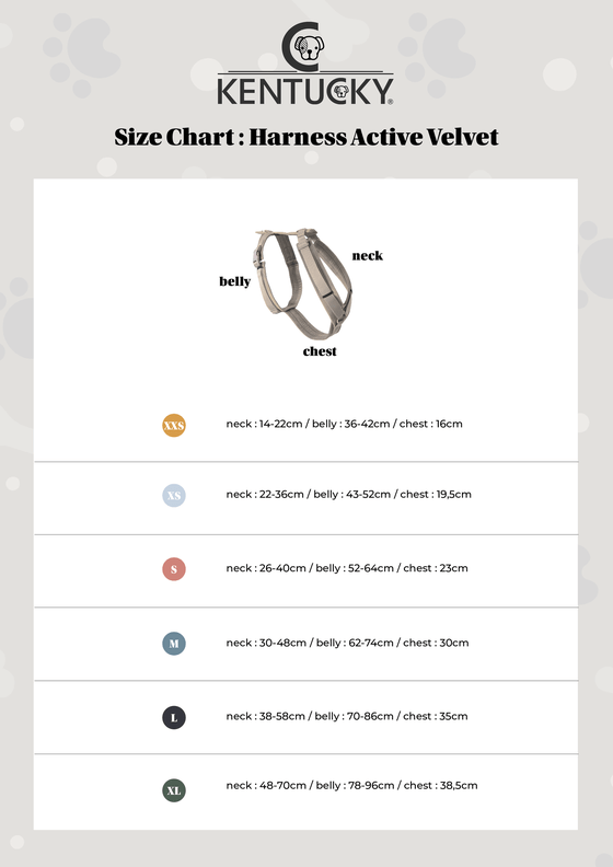 Harnas Active Velvet - Beige
