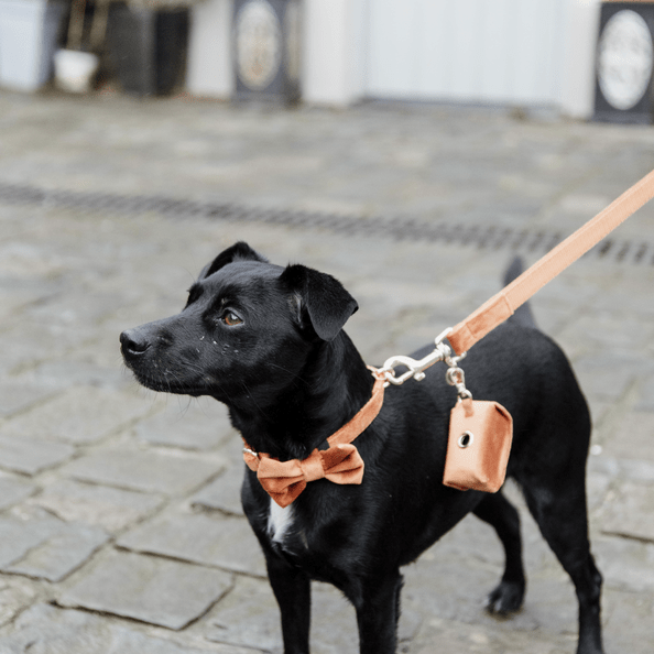Hondenstrikje Velvet - Oranje