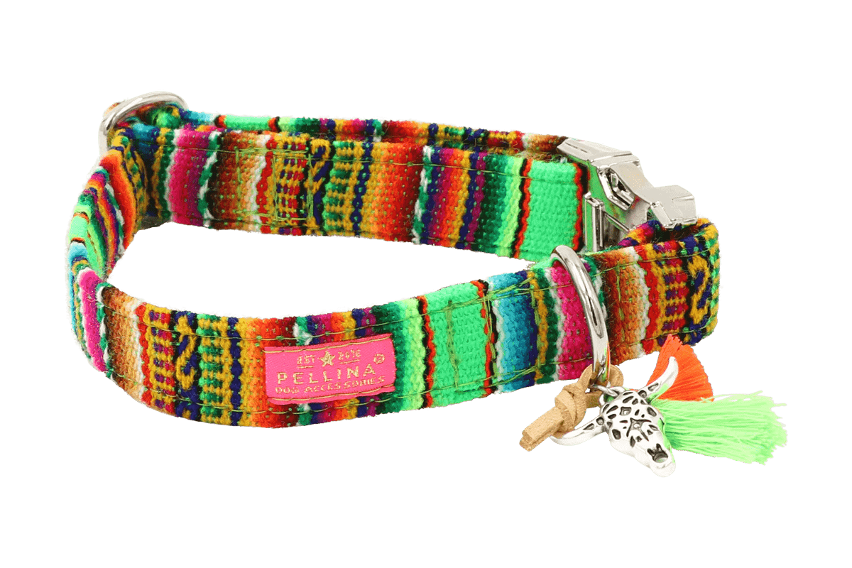 Halsband LaaVida Groen