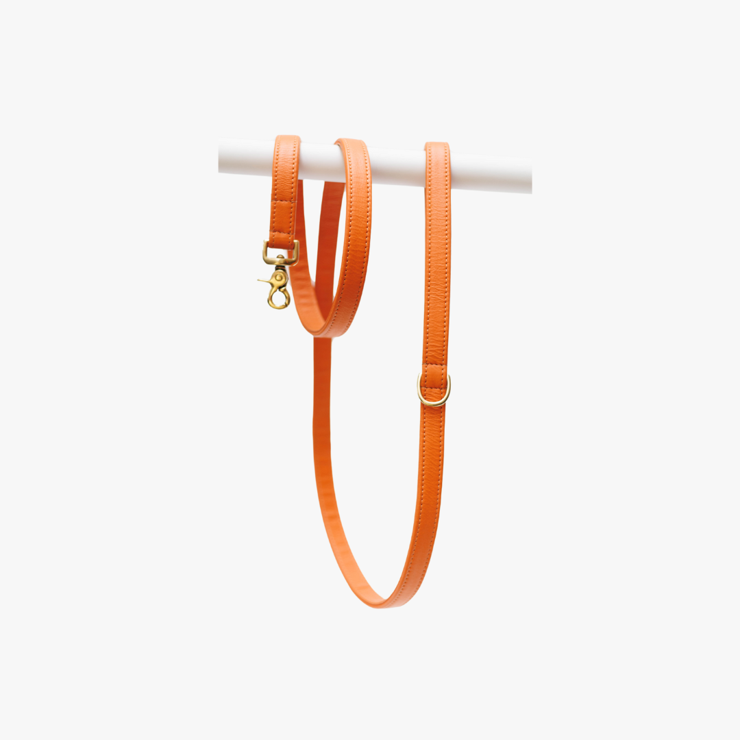 Leren leiband - Oranje – Leiband van The Dog Musthaves | Hondenboetiek