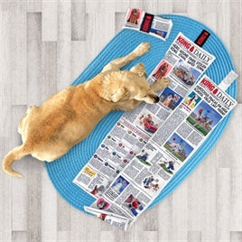 KONG DAILY NEWSPAPER KRANT XL