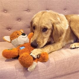 KONG WILD KNOTS TIJGER ORANJE