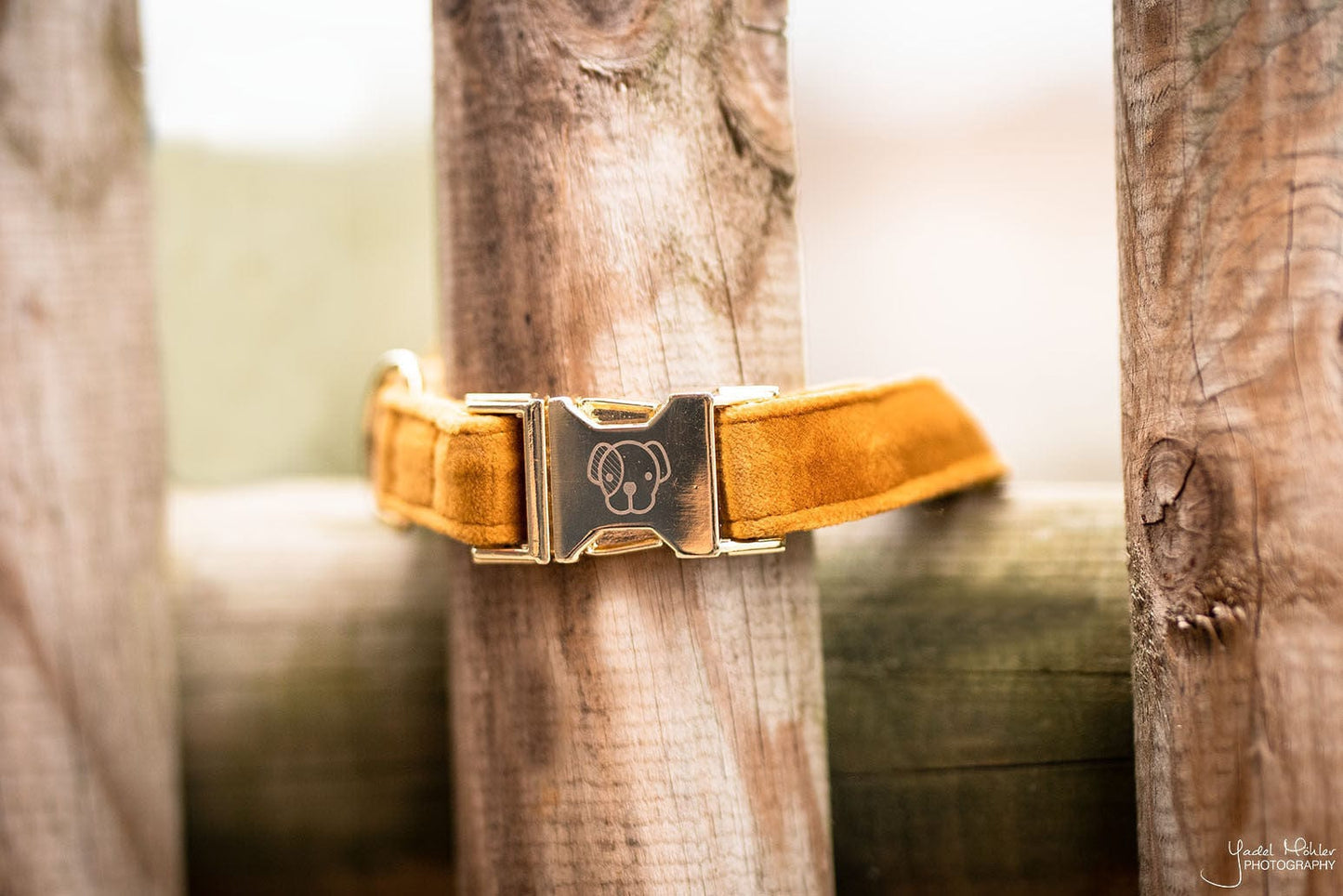 Halsband Velvet - Mosterd