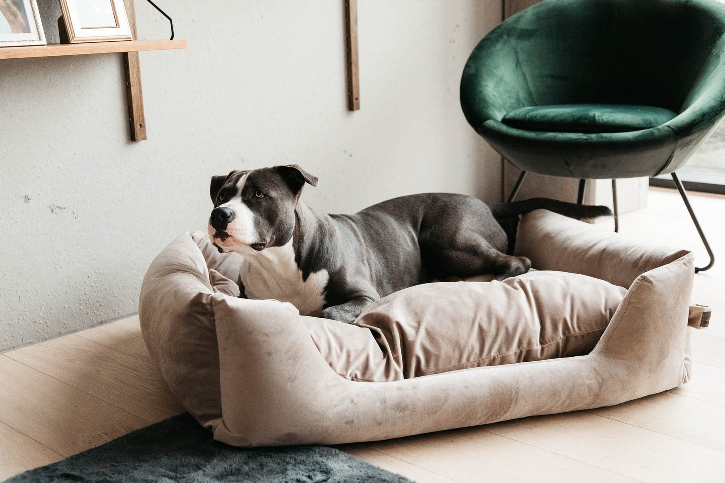 Hondenmand Velvet - beige