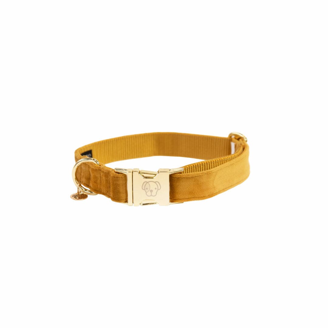 Halsband Velvet - Mosterd