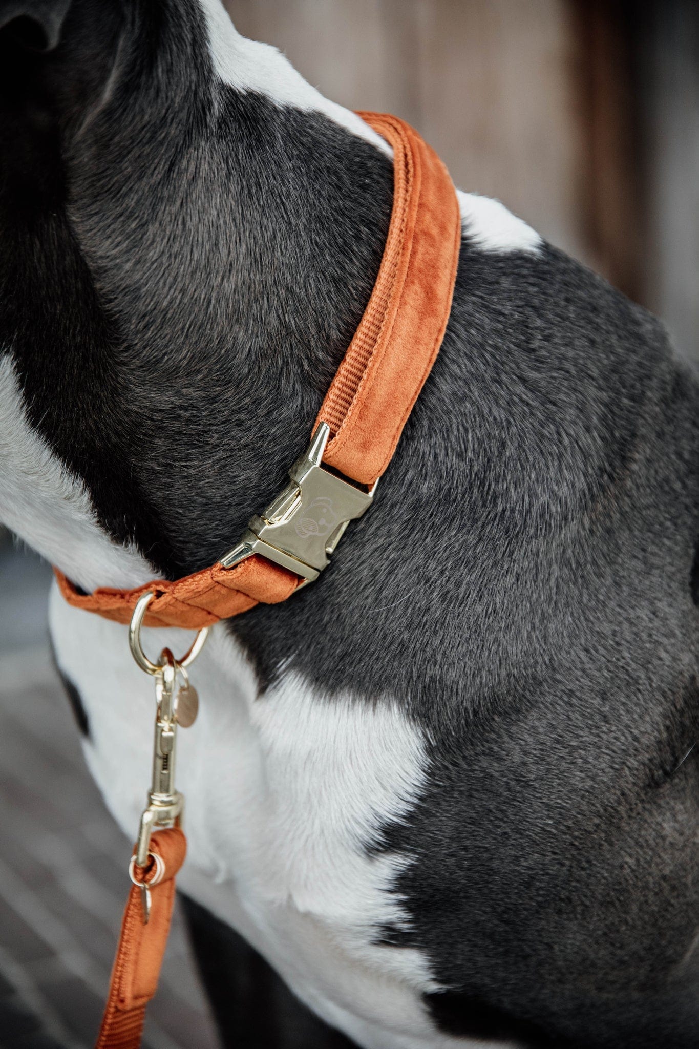 Halsband Velvet - Oranje