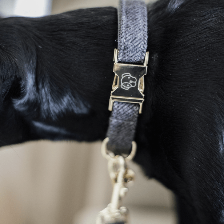Halsband Wol -Grijs