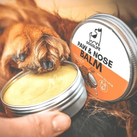 Paw & Nose Balm Dogslife