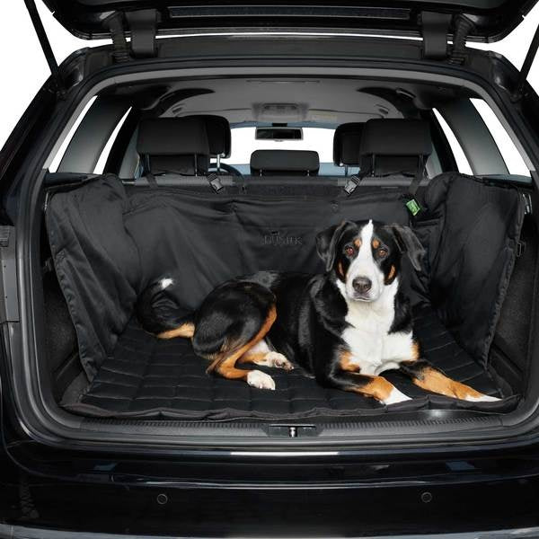 Hoe vervoer je uw hond veilig moet de wagen?