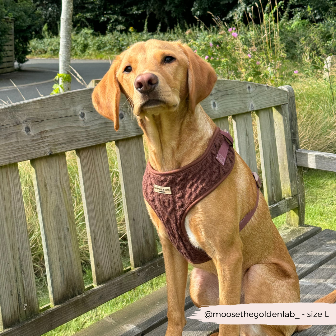 Kabel gebreidt harnas Choco - Cocopup London