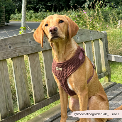 Kabel gebreidt harnas Choco - Cocopup London