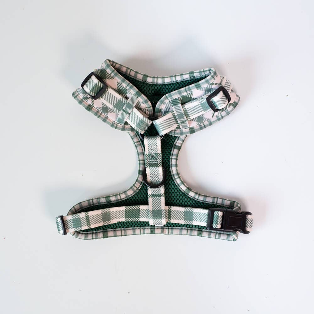 Harnas Perfect Picnic