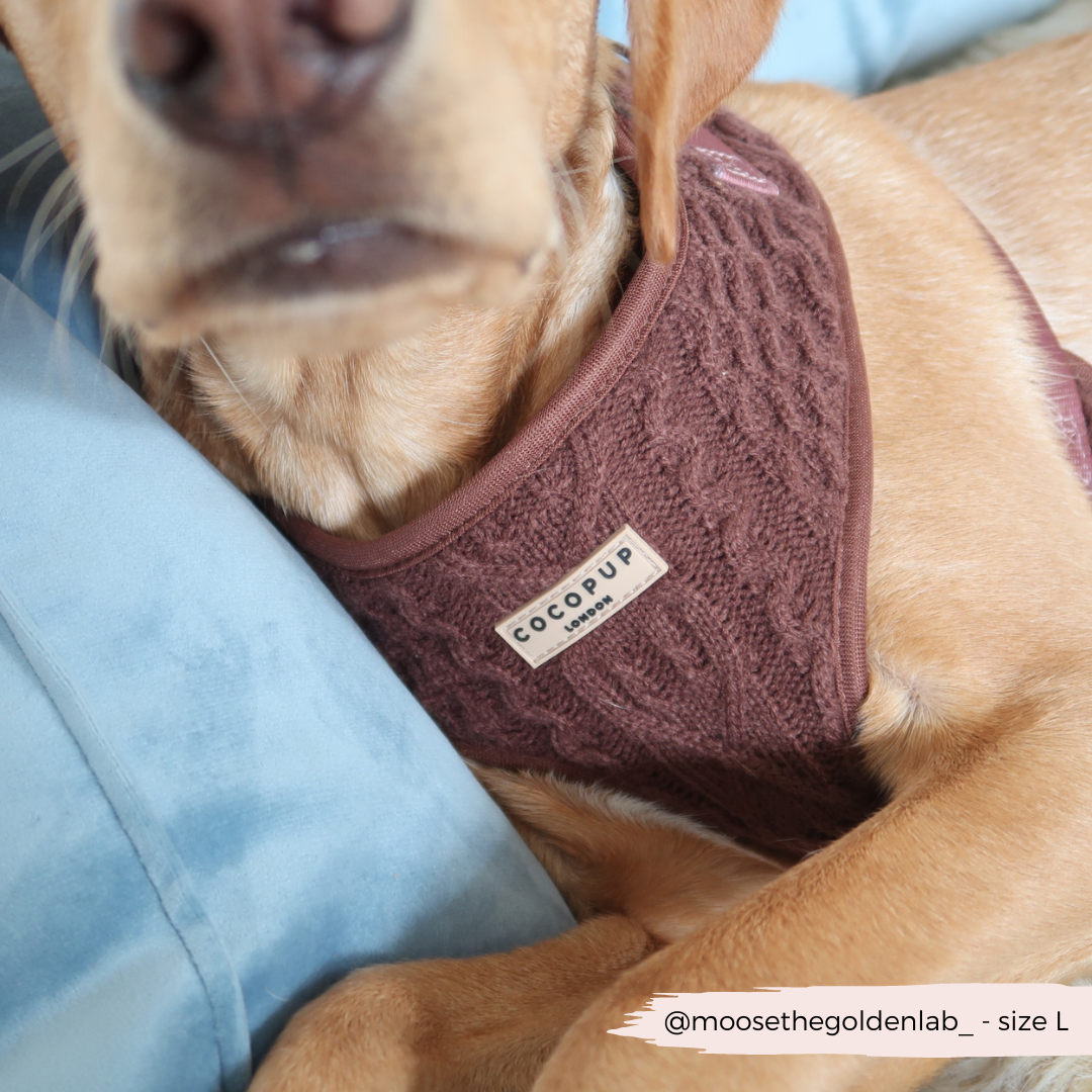 Kabel gebreidt harnas Choco - Cocopup London