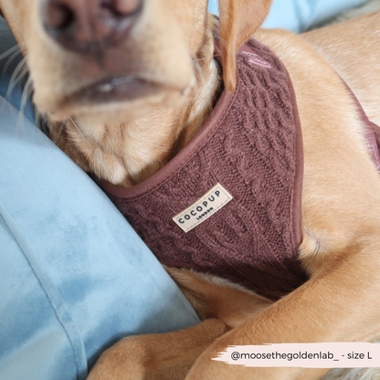 Kabel gebreidt harnas Choco - Cocopup London