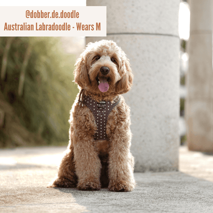 Harnas Choco Loco Love