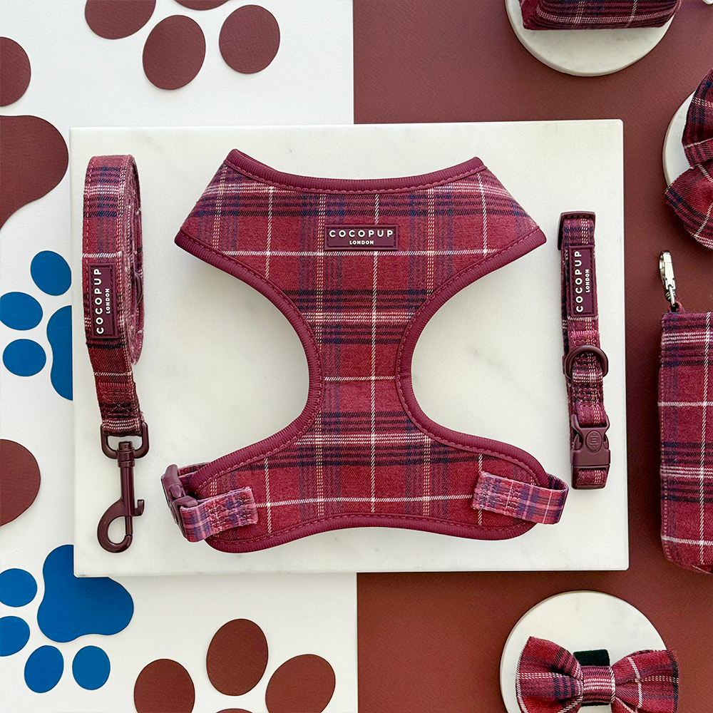 Mulberry Ruit Harnas - Cocopup London