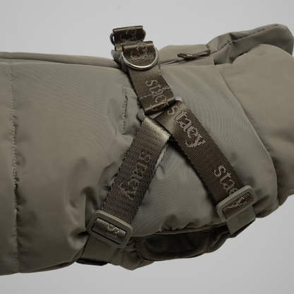 Vera Hondenjas met Harnas Salie