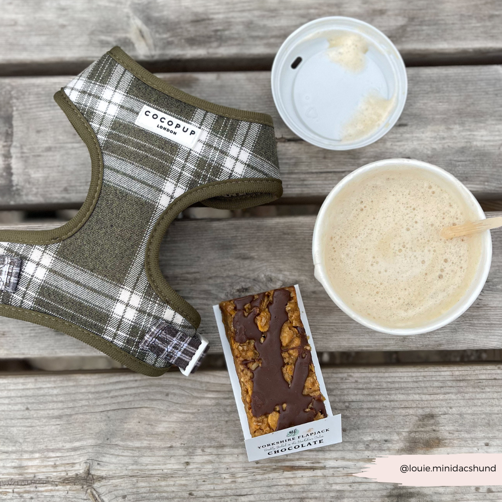 Olijfgroene Plaid Harnas - Cocopup London