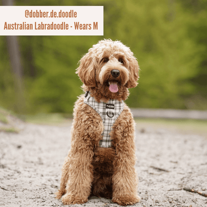 Harnas Perfect Picnic