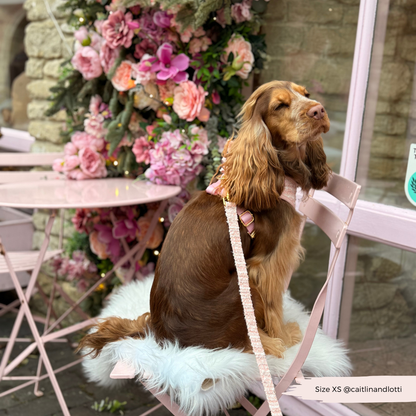 Tweed Leiband roze - Cocopup London