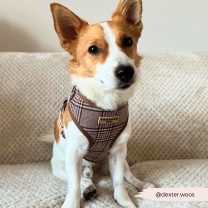 Harnas Pup Plaid - Cocopup London