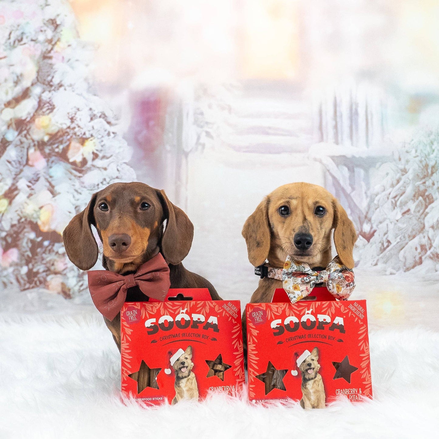 Honden Treat Christmas Selection Box