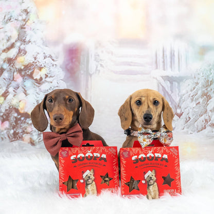 Honden Treat Christmas Selection Box