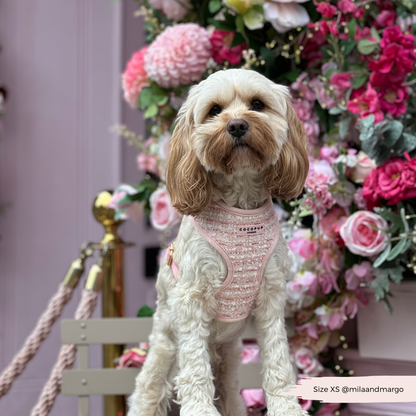 Tweed Roze Harnas - Cocopup London