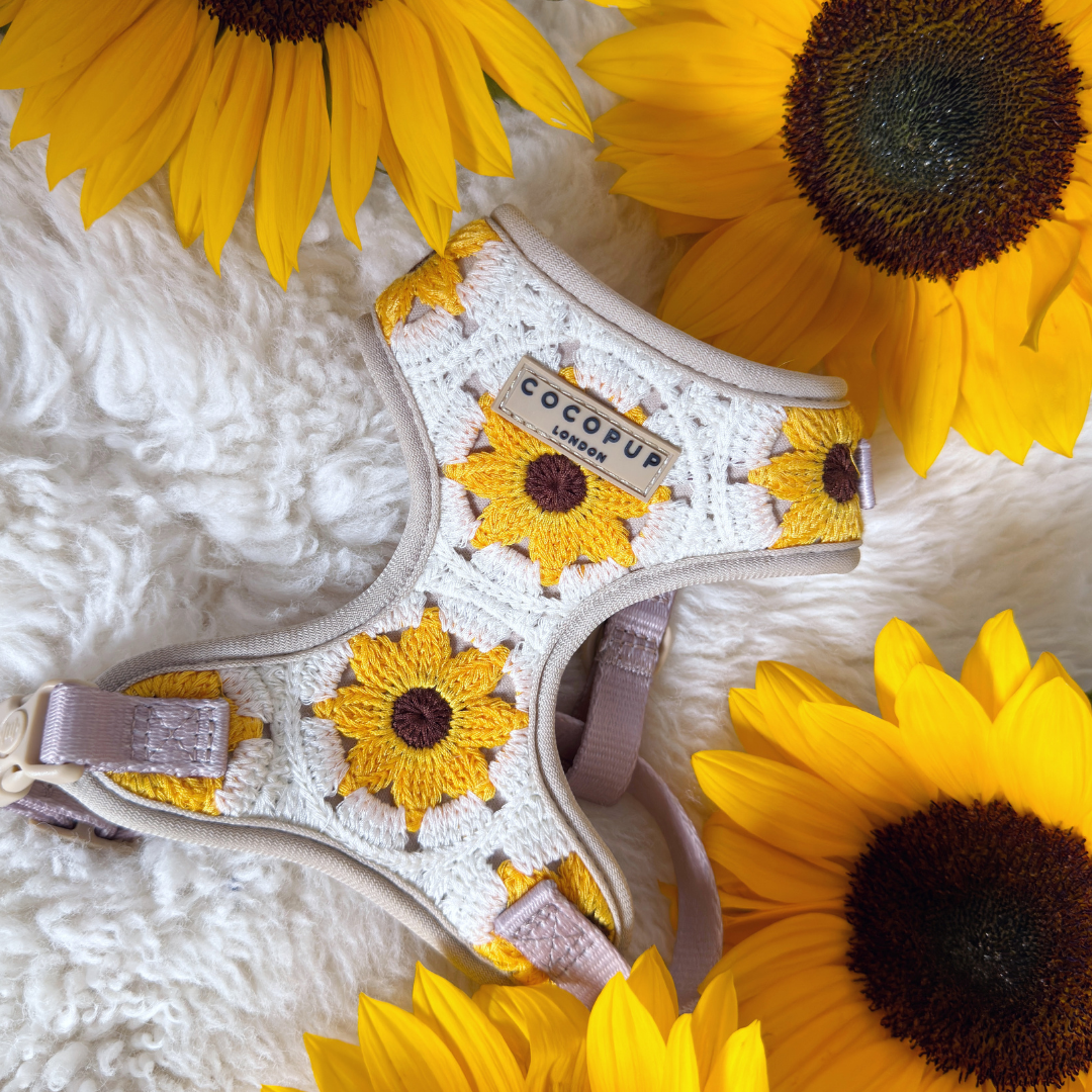 Sunflower Patch Harnas - Cocopup London