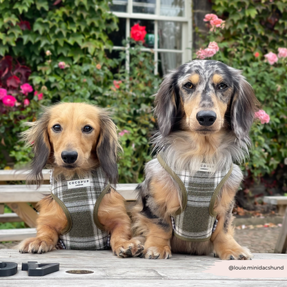 Olijfgroene Plaid Harnas - Cocopup London