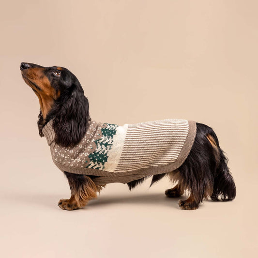 alpaca trui Frosted Grove – Kleding van Alqo Wasi | Hondenboetiek