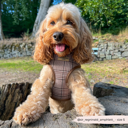 Harnas Pup Plaid - Cocopup London