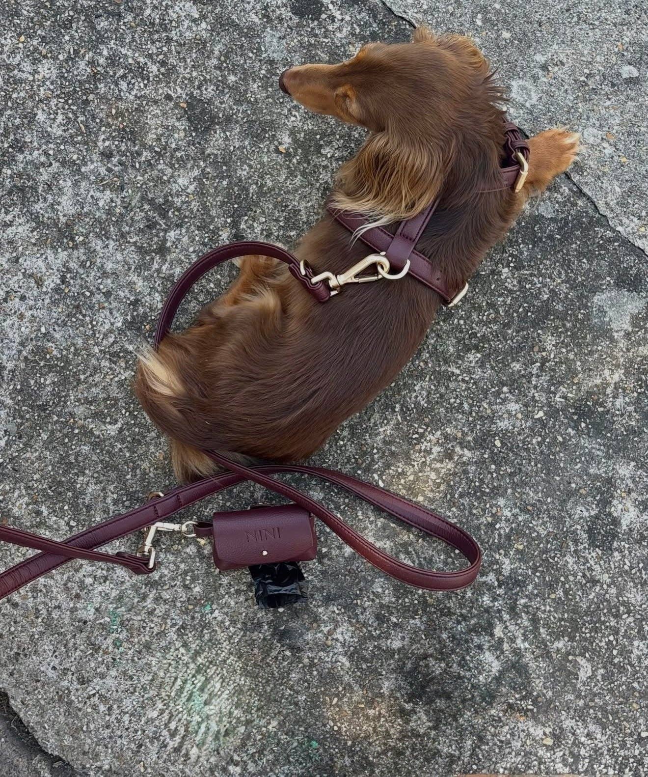 Nini Poepzakhouder -  burgundy