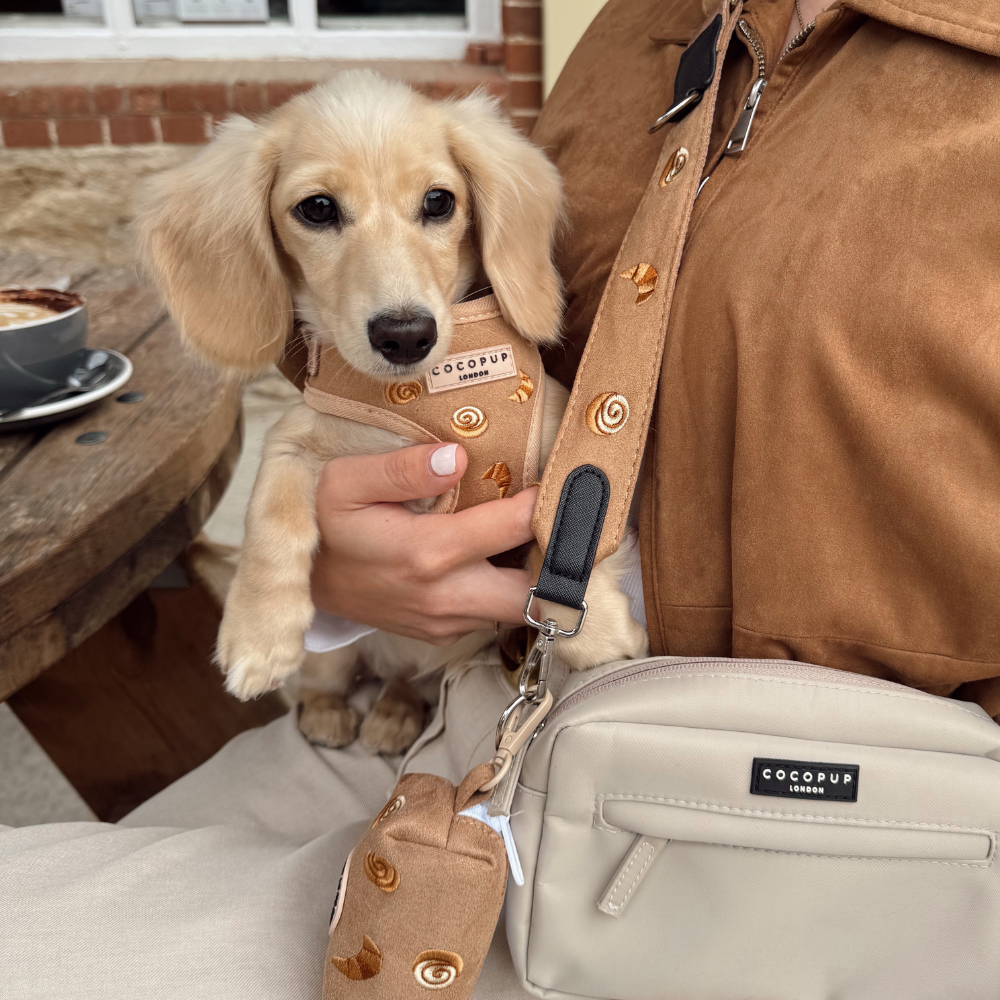 Pawtisserie Harnas - Cocopup London