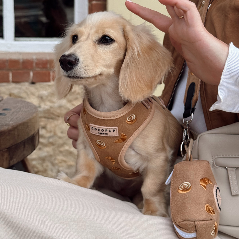 Pawtisserie Harnas - Cocopup London