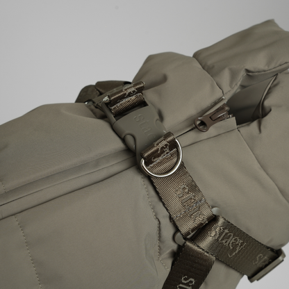 Vera Hondenjas met Harnas Salie