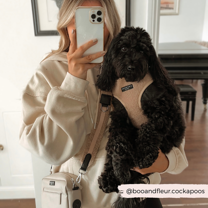 Tasriem Teddy Rupert - Cocopup London