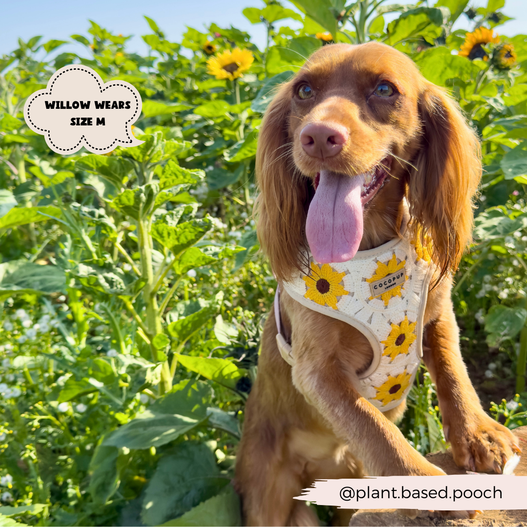Sunflower Patch Harnas - Cocopup London