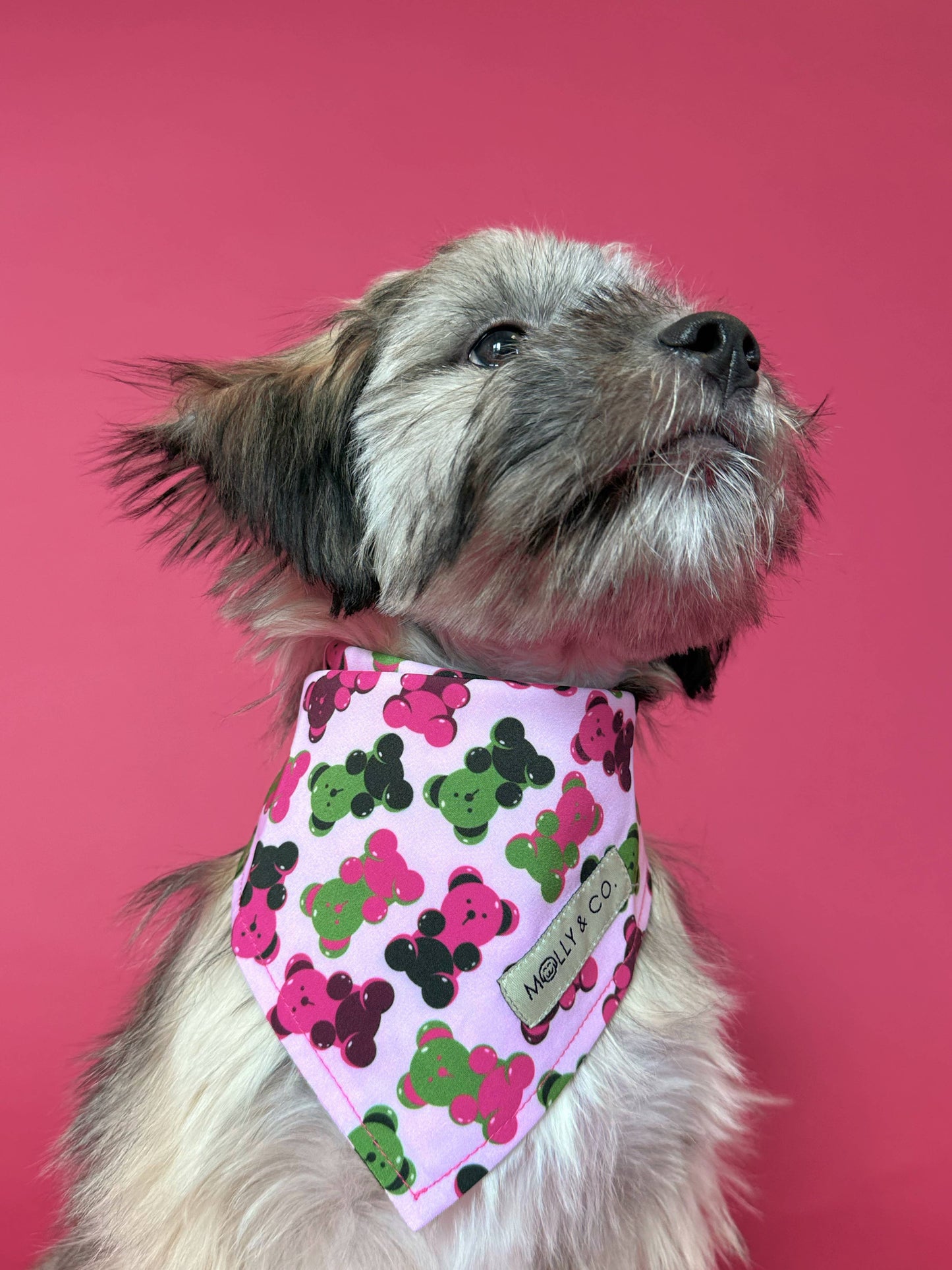 Gummy Bears Bandana (Omkeerbaar) - Molly & Co.