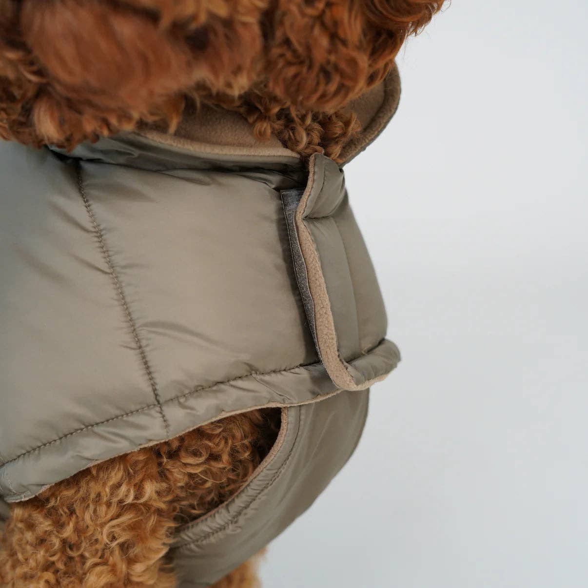 Staey - Dog Coat Nora in taupe