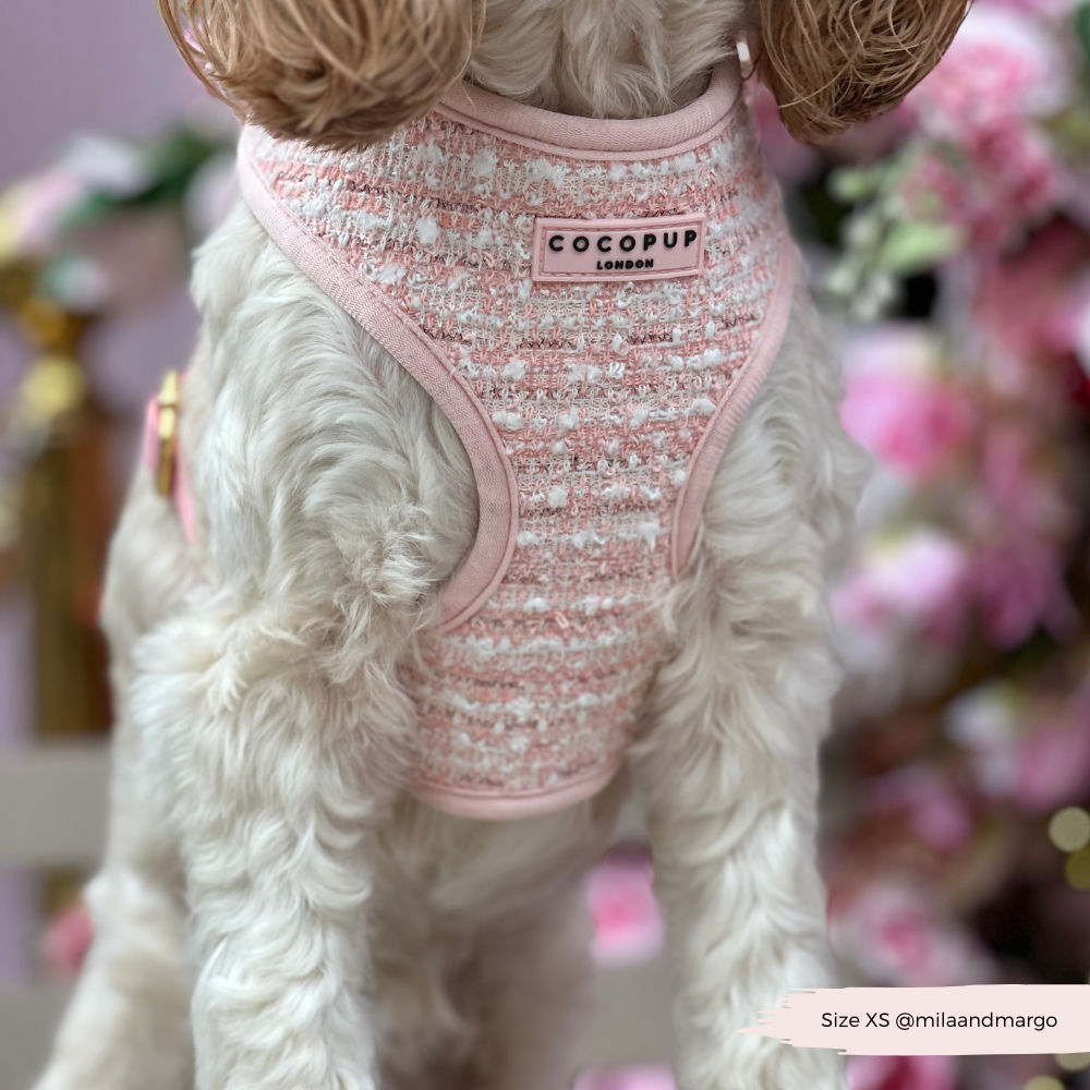 Tweed Roze Harnas - Cocopup London