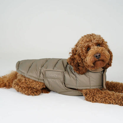 Staey - Dog Coat Nora in taupe