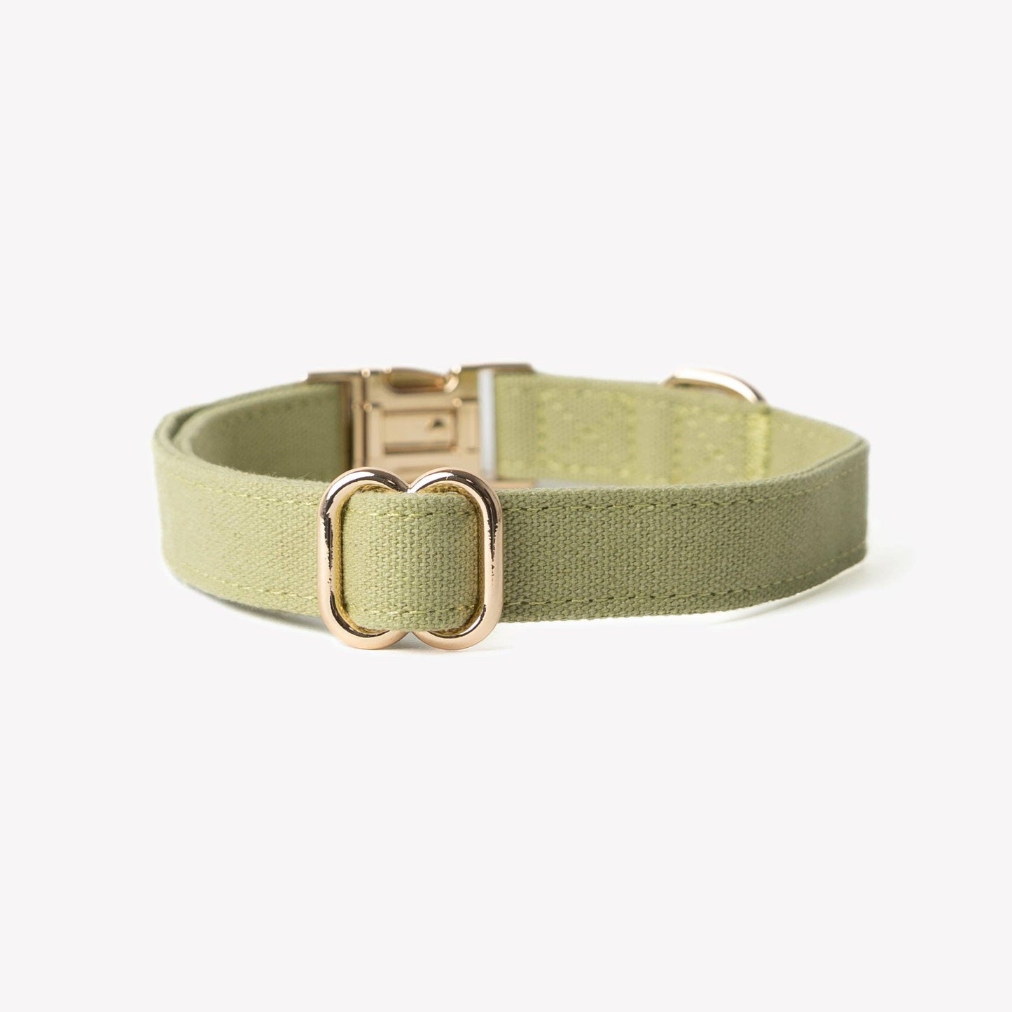 Canvas Hondenhalsband — Groen