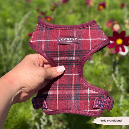 Mulberry Ruit Harnas - Cocopup London